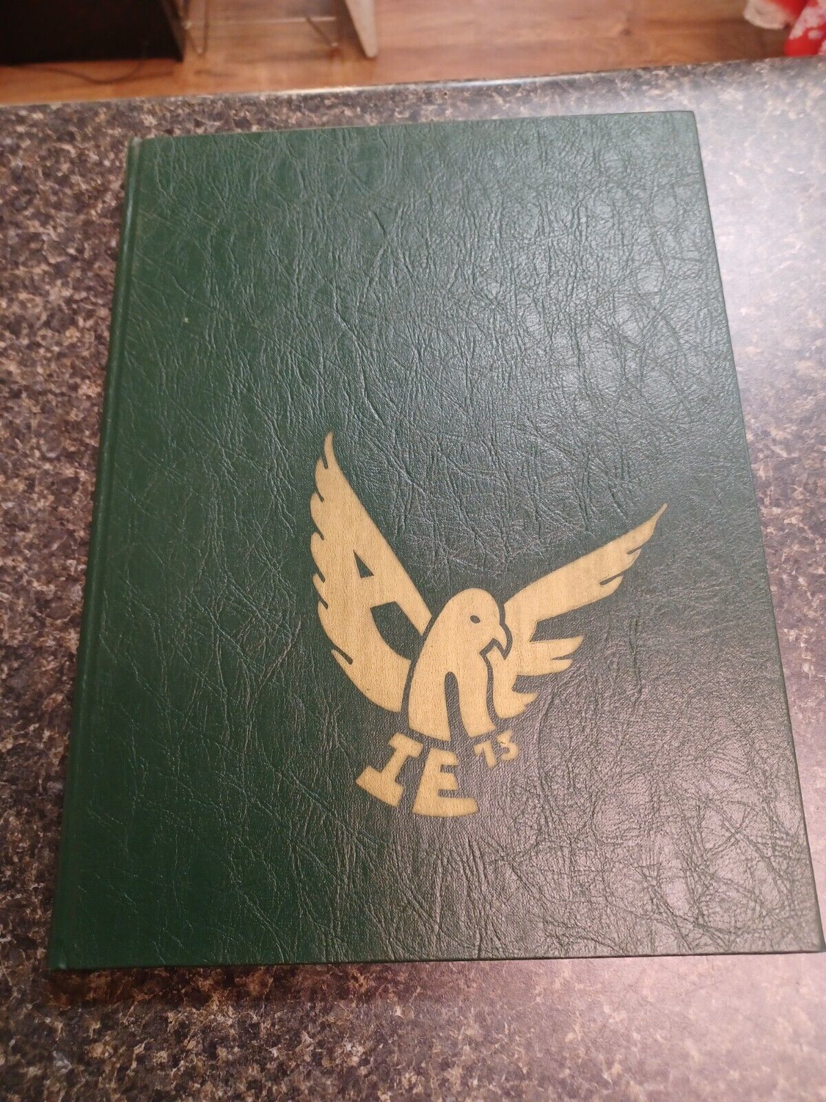 Archbishop Walsh High School Aerie Yearbook  Olean NY 1973 - $29.69