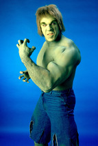 Lou Ferrigno The Incredible Hulk 18x24 Poster - £19.15 GBP