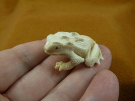 FROG-W16) little Frog shed ANTLER figurine Bali detailed carving amphibi... - $51.19