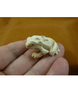 FROG-W16) little Frog shed ANTLER figurine Bali detailed carving amphibi... - $51.19