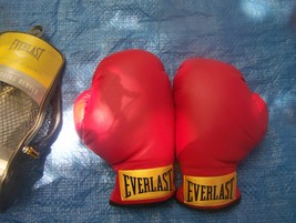 EVERLAST youth novice Boxing Gloves Tn:Y train with zipper bag - £4.71 GBP