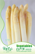 10 S 20 Seeds White Asparagus Seeds Spring Vegetables Sparrowgrass Garde... - $8.49