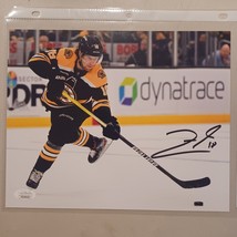 PAVEL ZACHA SIGNED Autographed Auto 8X10 PHOTO BOSTON BRUINS JSA COA - £34.28 GBP