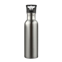 Stainless Steel Sport Water Bottle with Straw Lid Single Walled 25 oz. 750ml  - £7.98 GBP