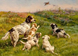 Art Giclee Printed Oil Painting Print Hound playing Canvas - £8.87 GBP+