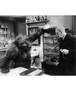 THE APE  BORIS KARLOFF  RAY CORRIGAN (GORILLA)  8X10 PHOTO - $13.67 CAD