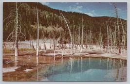 Yellowstone National Park Hot Pools Vicinity Of Old Faithful Vintage Postcard - $14.45