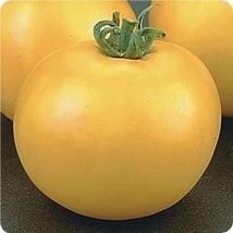 USA Seller Lemon Boy Tomato Seeds Fast Shipping - £9.88 GBP