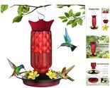 Beautiful 16 oz Hanging Hummingbird Feeder - Bee-Proof with Ant Protection - $19.75