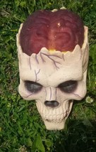 Skull With Gel Brains Halloween Prop - £21.50 GBP