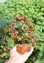 Tiger Eye Crystal Tree | Copper Wire Bonsai for Confidence &amp; Focus - $39.41+