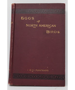 Eggs Of North American Birds HC 1890 Chas Maynard 1st Edition Burgundy - $118.80