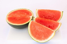 Sugar Baby Watermelon Heirloom {Citrullus lanatus} NON-GMO 50+ seeds - £6.84 GBP