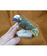 (Y-BIR-SO-422) Songbird green white bird gemstone STONE carving Peru son... - $28.04