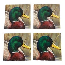 4 Bernard Green Head Duck Louisiana Absorbent Stone Cork Back Coaster Set NEW - £21.88 GBP