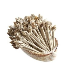 Shell Toothpicks - Cocktails Toothpick - Beach Drink Picks -Wedding Toot... - $188.12 MXN