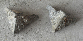 Lot of 2 Vintage Small Metal Fancy Furniture Trim Pieces LOOK - $16.83