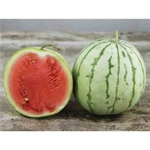 Dixie Queen Watermelon Seeds, Cuban Queen, NON-GMO, Crimson, Heirloom, F... - $1.67+