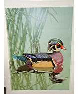 Collection of Waterfowl silk screen prints  5 in set  Artist Stephen Min... - $83.32 CAD