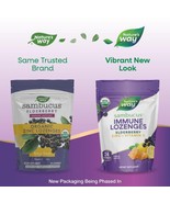 11/26 Nature&#39;s Way Sambucus Zinc Lozenges Honey Lemon 3 Packs W/ 24 Each... - $25.73
