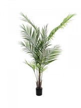 EUROPALMS Großblatt-areca,Artifical Plant,165cm - $244.97