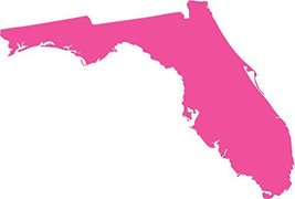 Picniva Pink Florida FL map Removable Vinyl Wall Decal Home Dicor 5 inchs Wide - £4.59 GBP