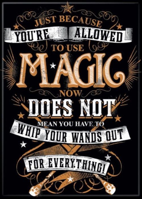 Primary image for Harry Potter Whip Your Wands Out For Everything Refrigerator Magnet NEW UNUSED
