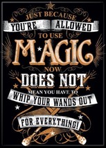 Harry Potter Whip Your Wands Out For Everything Refrigerator Magnet NEW ... - $3.99