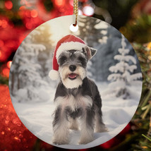 Cute Miniature Schnauzer Dog Santa Hat Snow Winter Christmas Ornament Gi... - £12.50 GBP