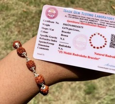 2 X Braccialetti Rudraksh Naturali Rudraksha Certificati In Laboratorio Argen... - $48.46