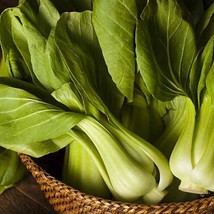 Shanghai Baby Pak Choi 200 Seeds Oriental Chinese Bok Choy Little Dwarf Leafy Gr - £10.88 GBP