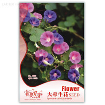 Heirloom Pink Light Purple Mixed Morning Glory Flowers, Original Pack, 25 Seeds, - £2.79 GBP