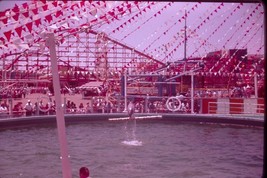 Vtg 1960 Amateur Shot 35MM Slide Pacific Ocean Park Sea Circus Dolphin J... - £11.95 GBP
