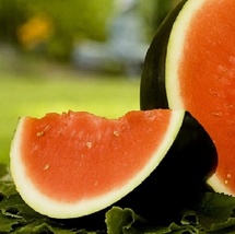 5 Seeds Sugar Baby Watermelon NON-GMO Heirloom Fresh Garden - £4.62 GBP