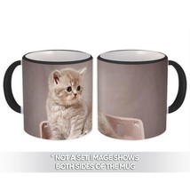 Cat : Gift Mug Kitten Cute Funny Friendship Pet - £12.57 GBP