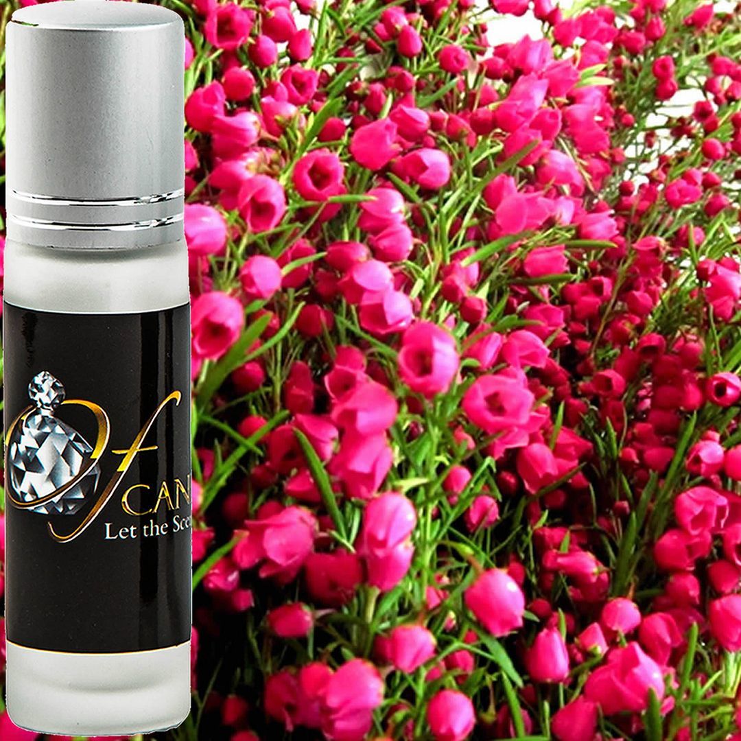 Australian Red Boronia Premium Scented Perfume Roll On Fragrance Oil Vegan - £10.22 GBP - £20.45 GBP