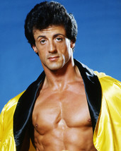 Sylvester Stallone 16x20 Poster bare chest as Rocky - £15.01 GBP