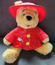 NWT Disney Winnie The Pooh Rainshop Red Raincoat Rainhat Ducky Outfit Plush - $50.00