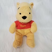 Disney Winnie The Pooh Lovey & Baby Rattle 10" Plush Baby Toy B224 - $12.99