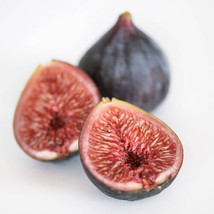 Semilir 100 Black Mission Fig Seeds USA  Fast Grow From US - $11.80