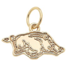 Arkansas Razorbacks Shiny Gold Logo Charm Game Day Layering - $13.86