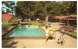 Tallahassee Motor Lodge Pool Beach Ball Old Cars  Vintage Postcard 1964 - £5.49 GBP