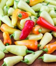 25+ Sante Fe Grande Hot Pepper Seeds Vegetable NON-GMO Heirloom - £9.73 GBP