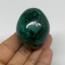 144.9g, 1.9&quot;x1.6&quot;, Natural Solid Malachite Egg Polished Gemstone @Congo, B32778 - £90.63 GBP