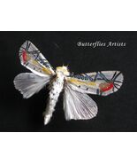 Rare Metallic Picasso Baorisa Hieroglyphica Moth High-Contrast Framed Sh... - $138.00