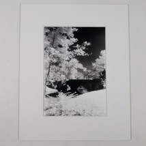 White Mat Photo Landscape Park Infrared Photography Bridge Trees Art Print - £18.91 GBP