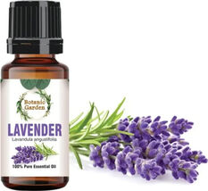 10 ml Natural Pure  Lavender/ Lavandula angustifolia  Essential Oil - $29.39