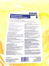 2 Gallon 7.6 Liters Bag Ecolab 1110764 Concentrated Foaming Hand Soap 19... - $267.00