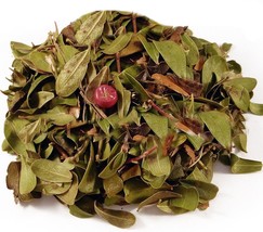 Arctostaphylos leaf - for cystitis and urinary infections, Uvae Ursi, Bearberry - £3.41 GBP+