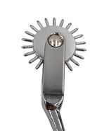 Wartenberg Wheel, Stainless Steel Sensory Tool - $17.00